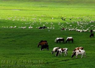 “蒙晉探秘”草原游學(xué)夏令營(yíng)雙臥8日